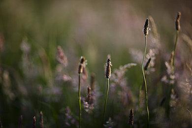 《艾尔登法环》“斗技场”12.7推出 免费更新、玩家对决